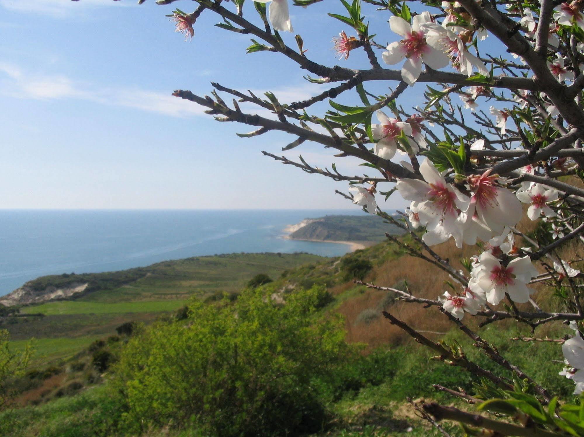 Resort Sole Mediterraneo Siculiana Marina Kültér fotó